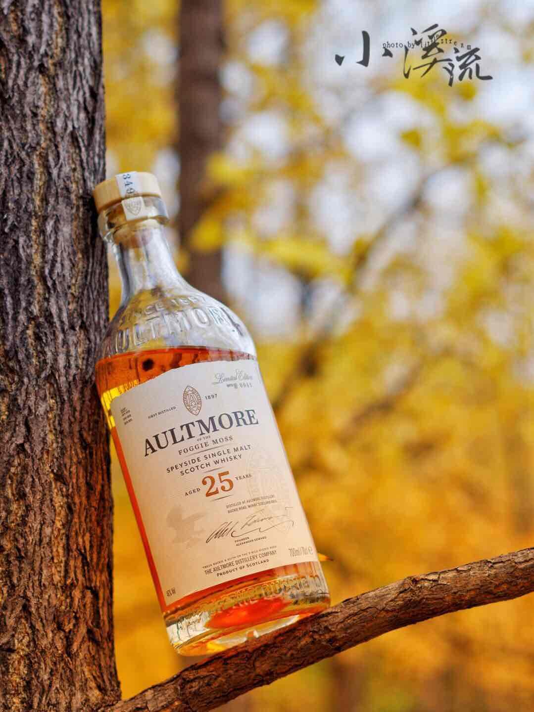 秋风长 落叶黄 山枫如火一夜凉【醉秋风】