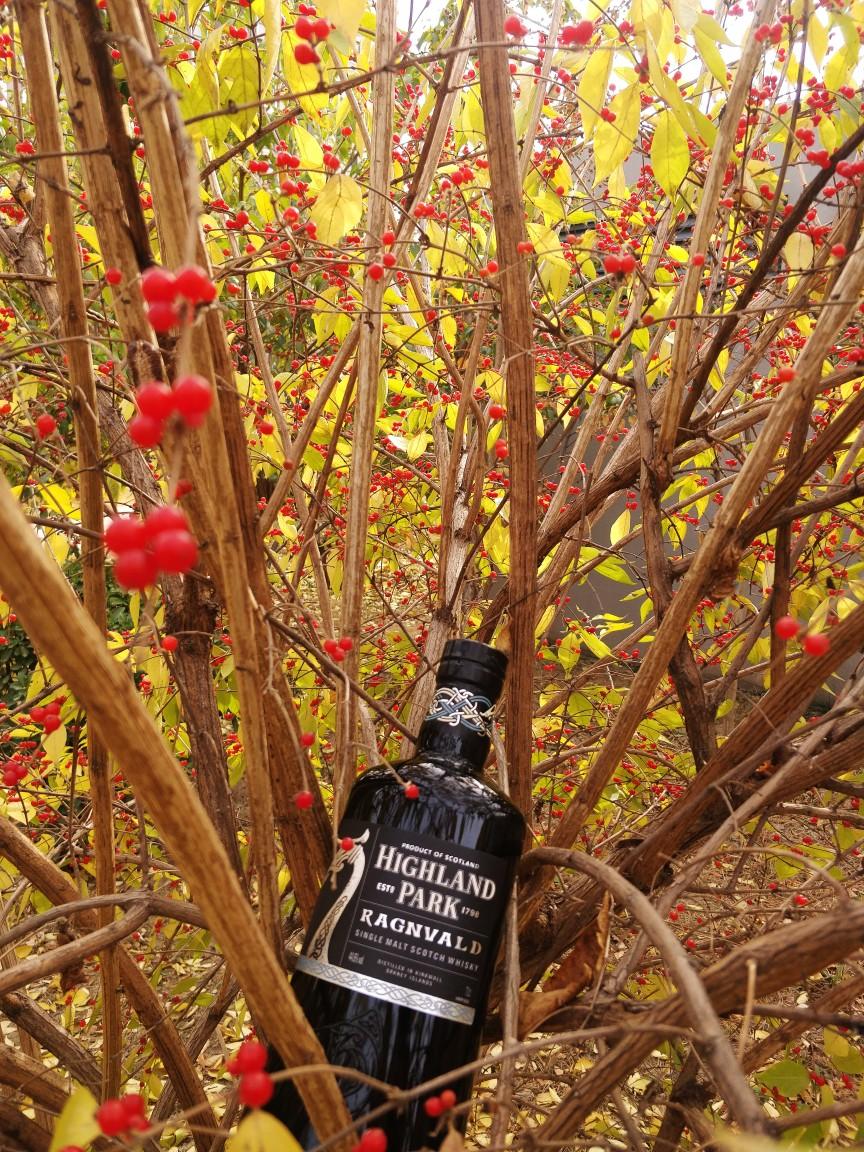 兰芷清露醉秋风