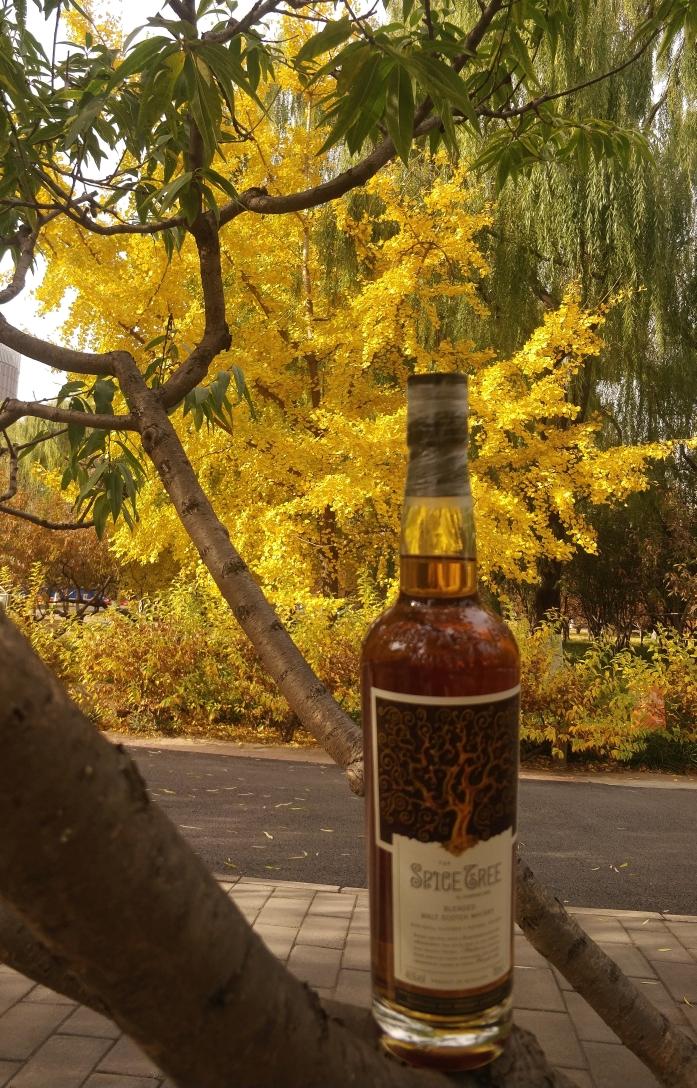 兰芷清露醉秋风