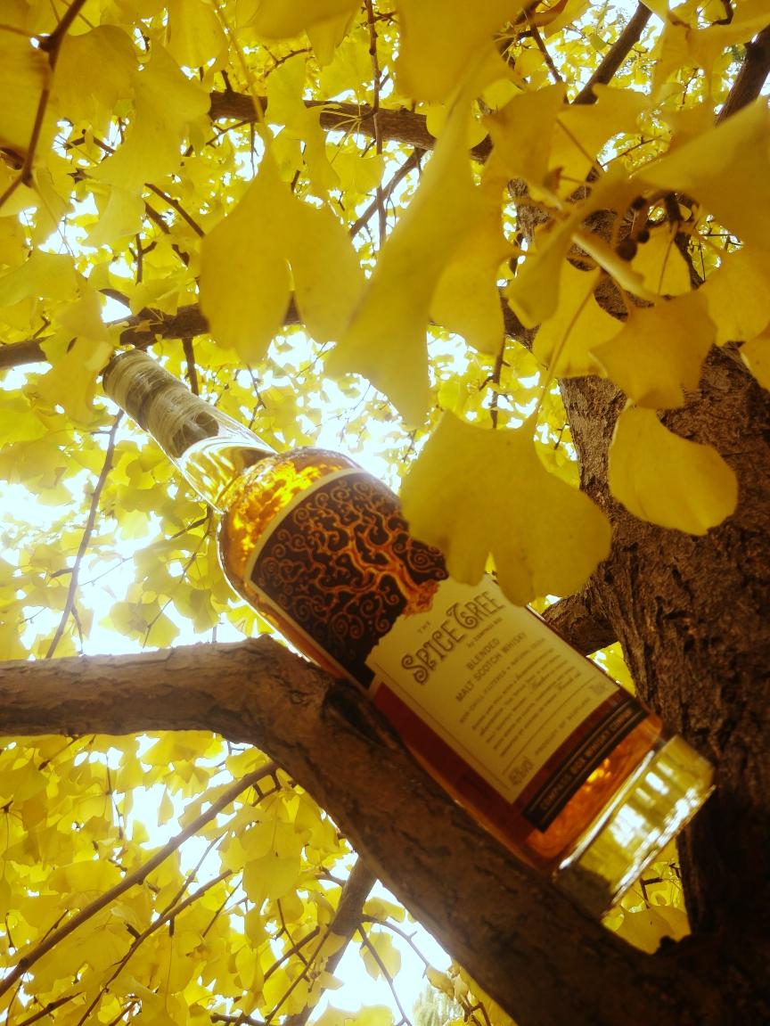 兰芷清露醉秋风