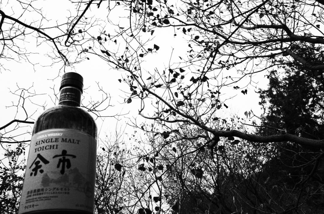 醉秋风 枯藤老树昏鸦