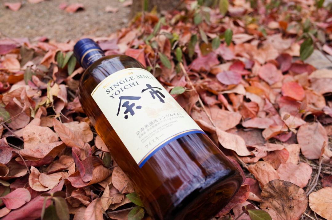 醉秋风 枯藤老树昏鸦