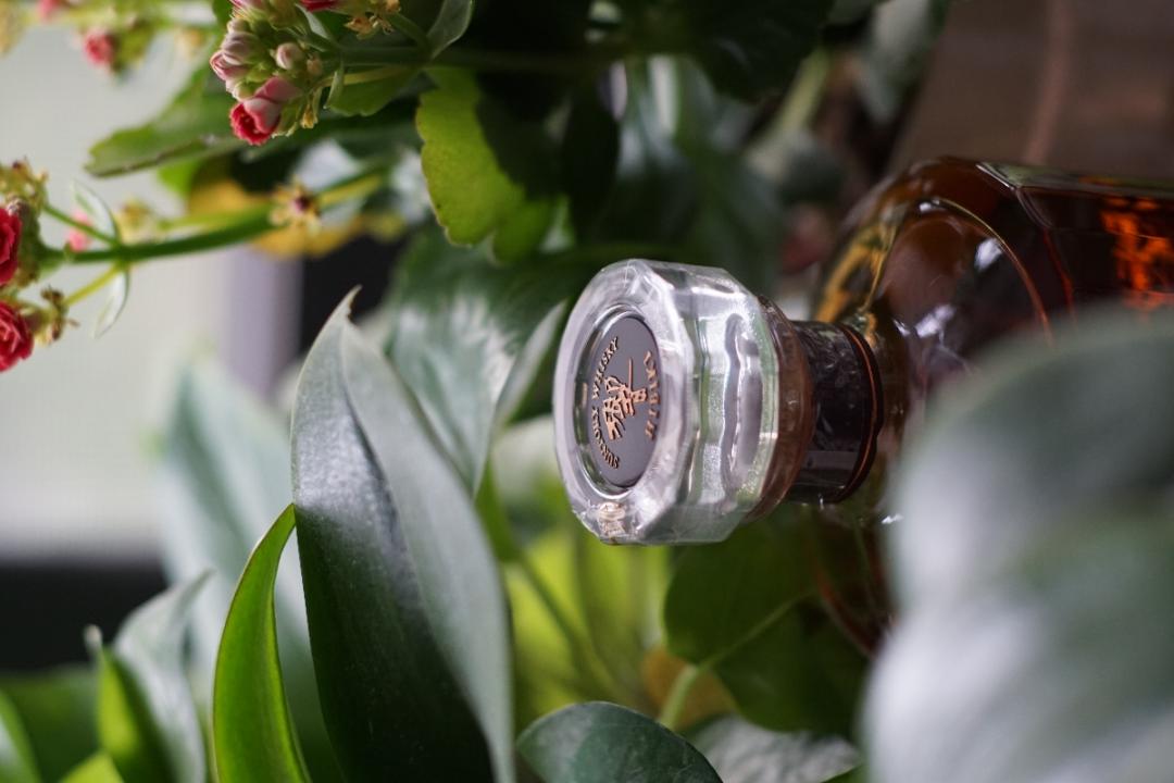 陋室春意满 何处醉秋风？