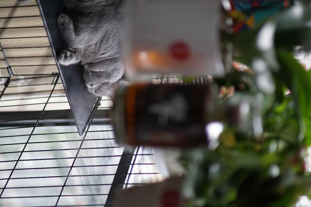 陋室春意满 何处醉秋风？