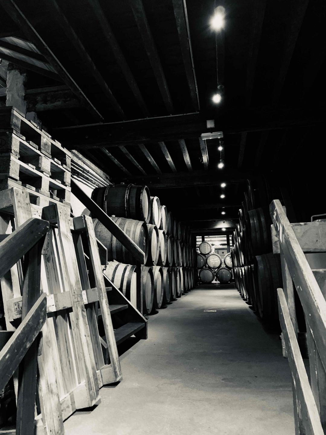 参观cantillon酒厂，geuze酒的专家