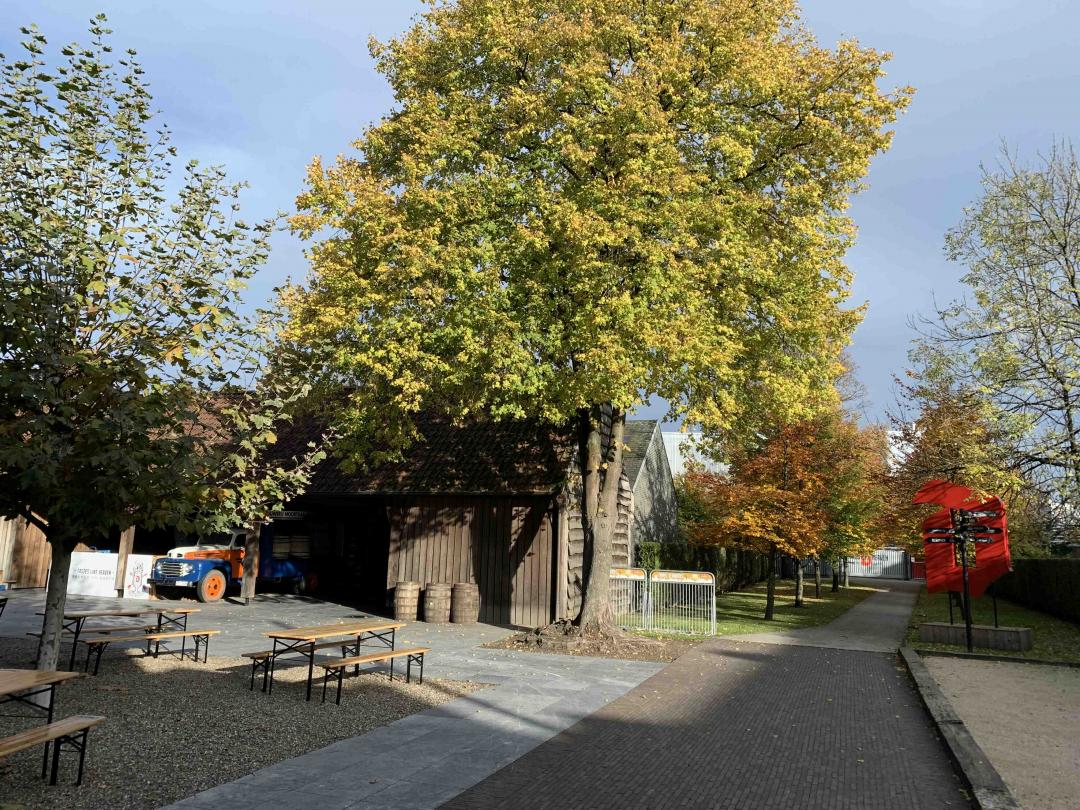 比利时duvel酒厂，参观了一下