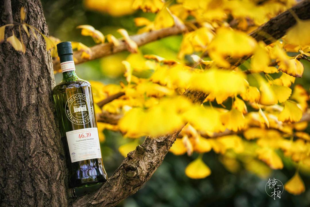 没赶上摄影比赛的外卡选手