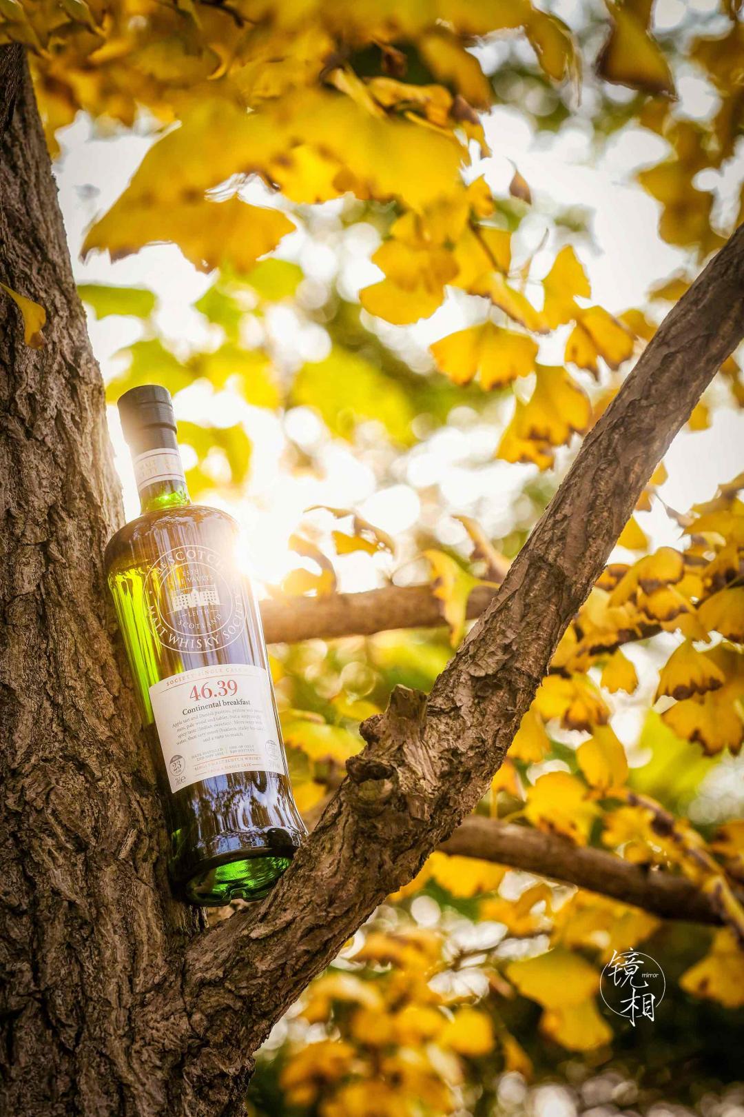 没赶上摄影比赛的外卡选手