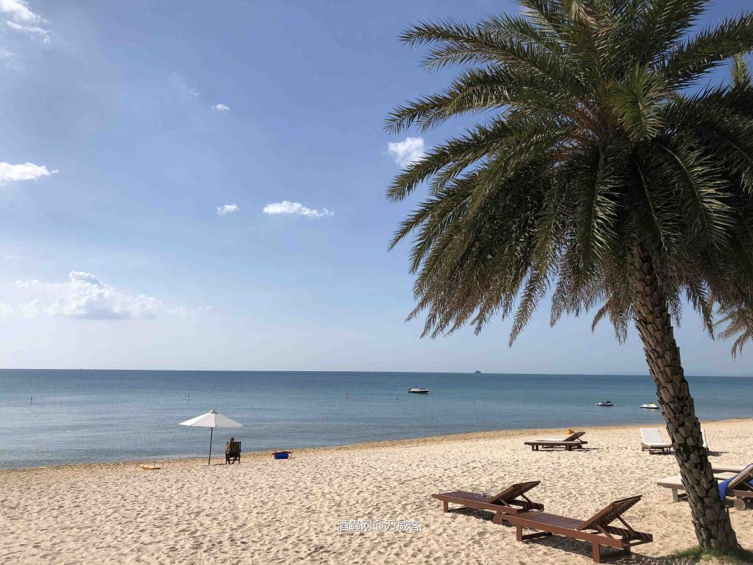 越南咖啡果然好喝～