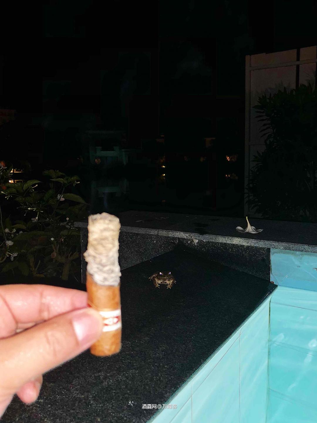 带娃只有时间抽根半皇冠，还好有蛙兄🐸陪我。