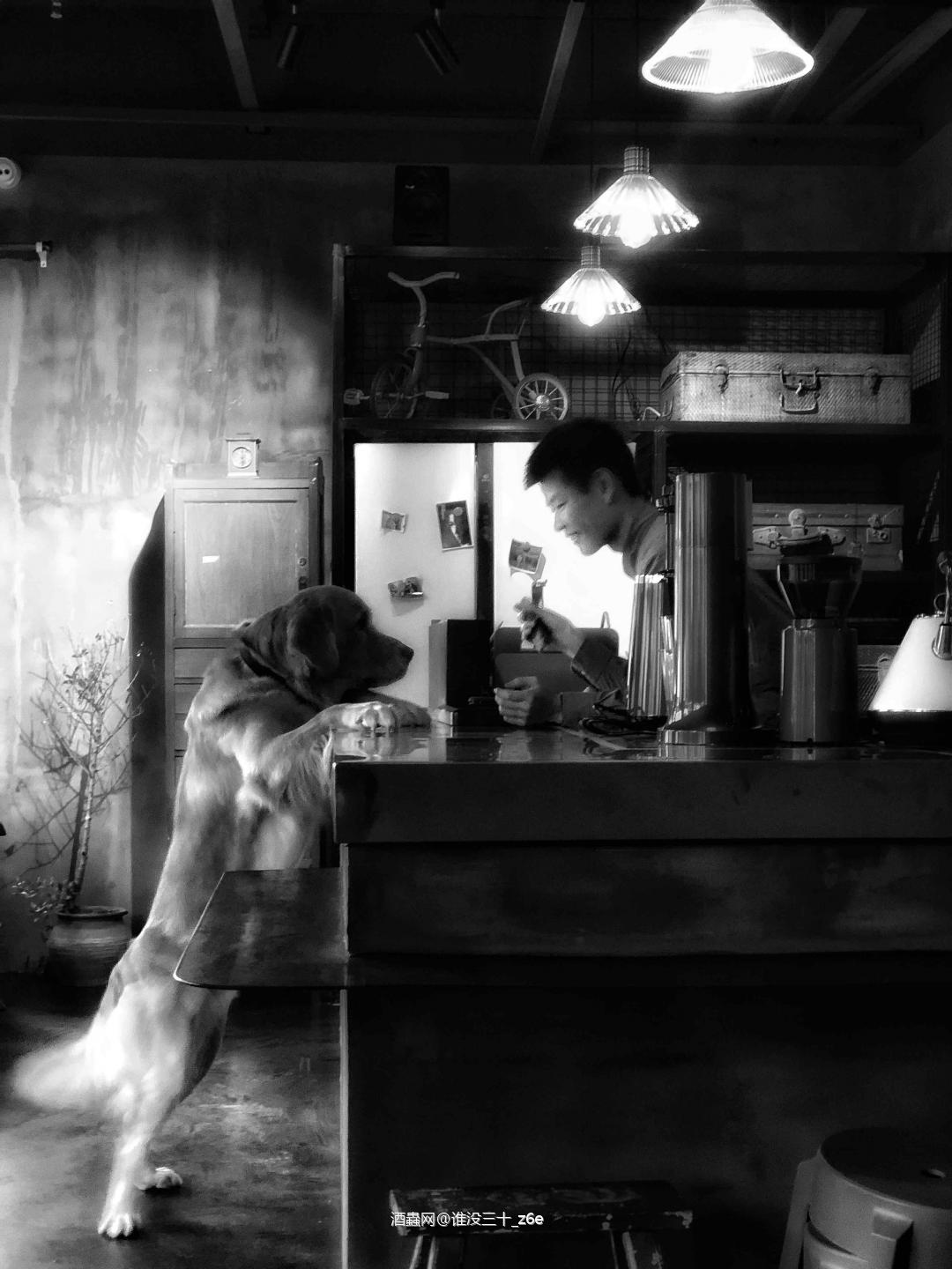 养头小金也是不容易