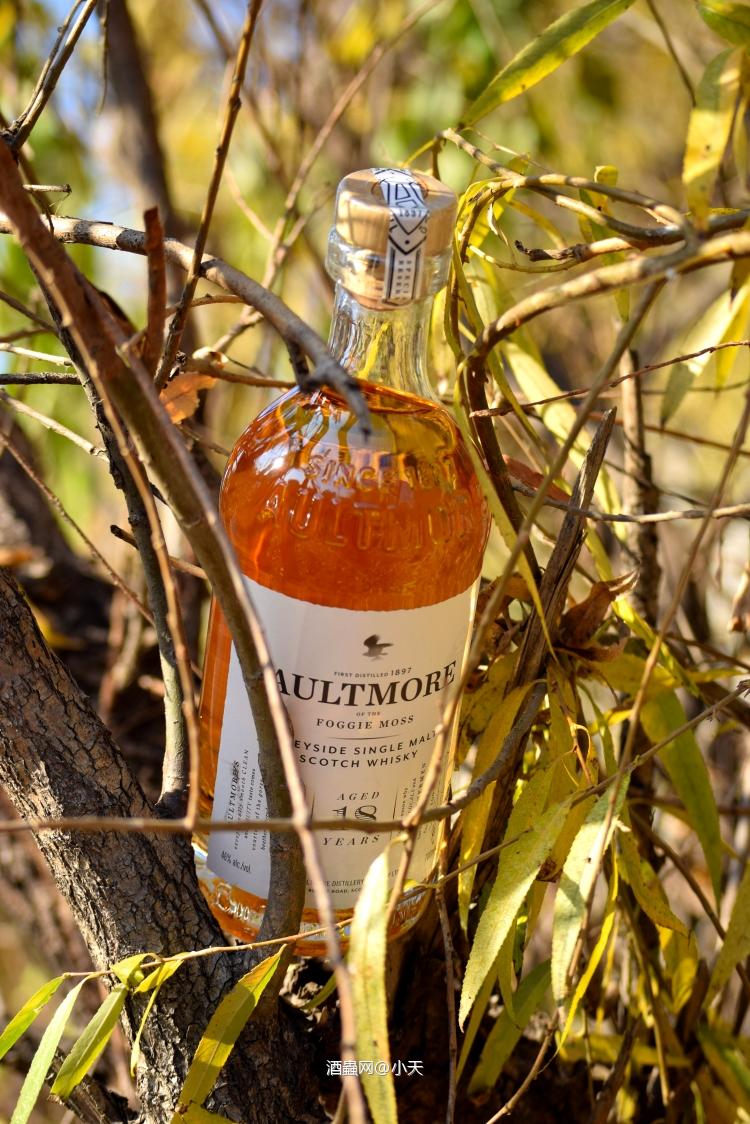 2018，生活中总有威士忌