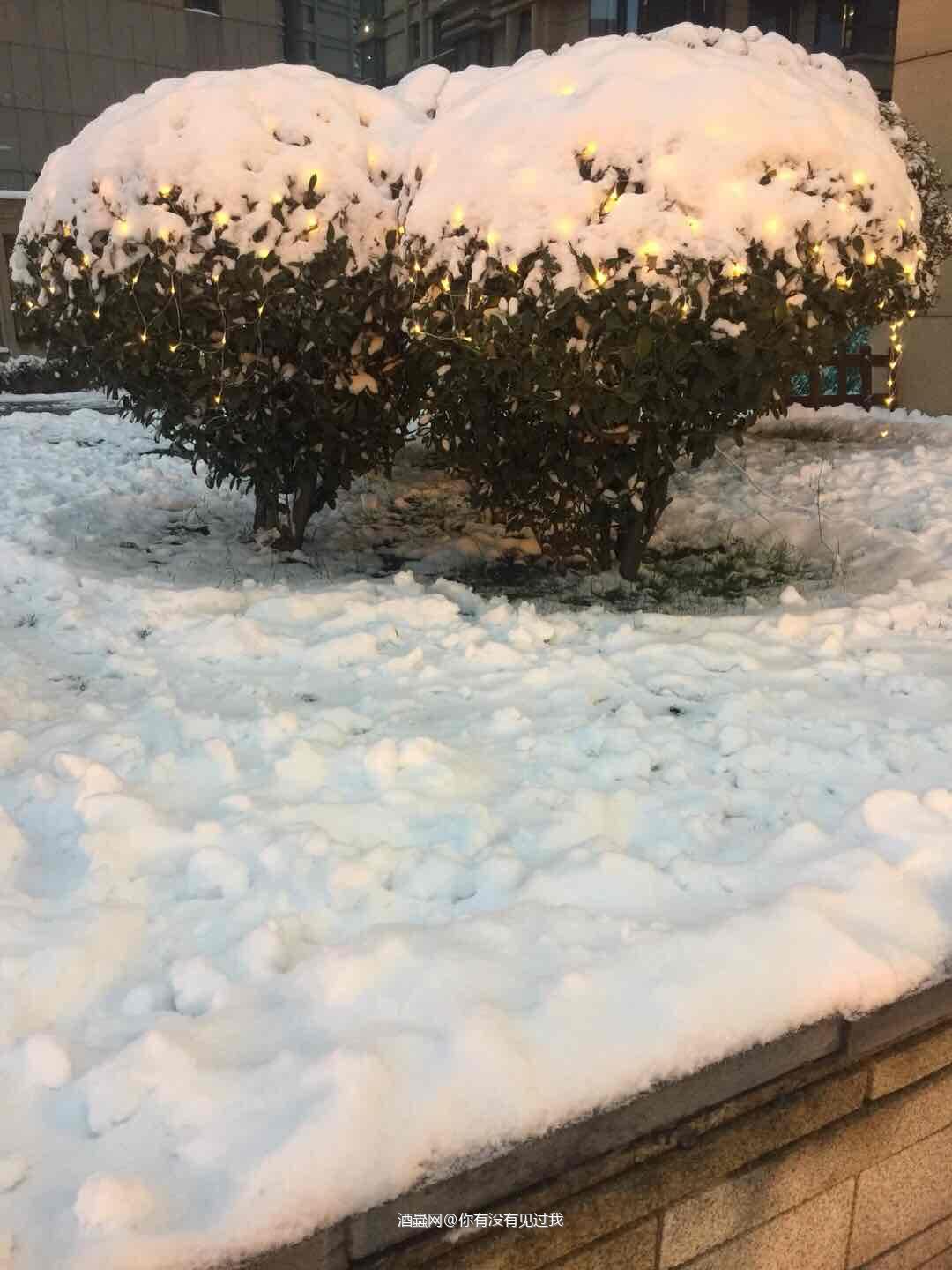 记长沙大雪