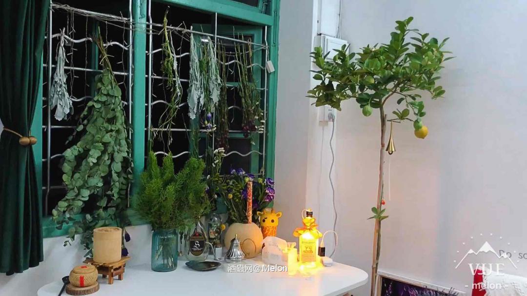 用了好多酒瓶做花瓶