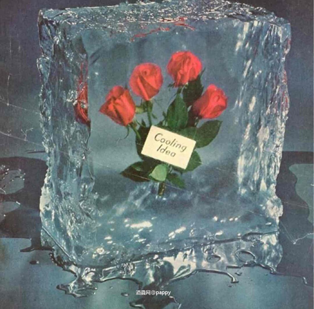 图1，2 1969年款 图3，4 2017年 50th Anniversary Limited Edition Al Young 五十周年纪念限量款 Al Young 一瓶难求！