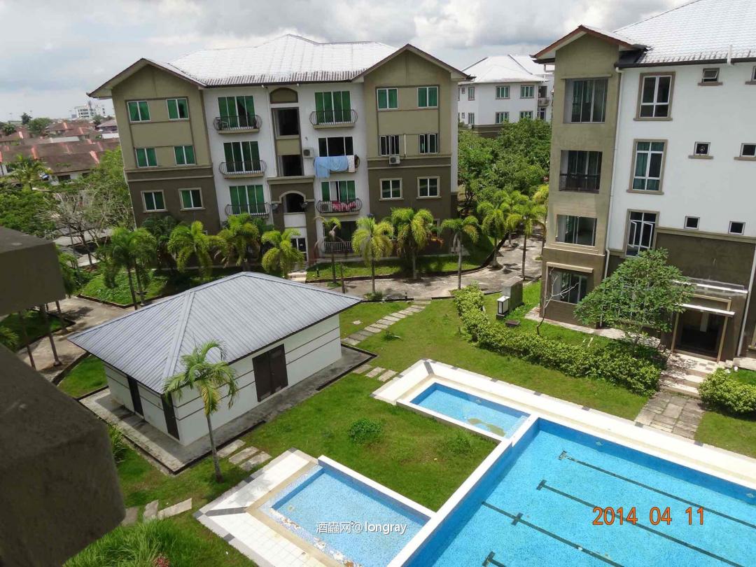 最佳口粮 和猫有关的故事Kuching & Clynelish