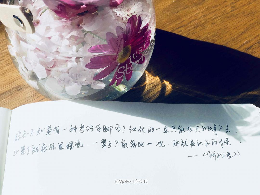 愿你拥有一份小小情怀