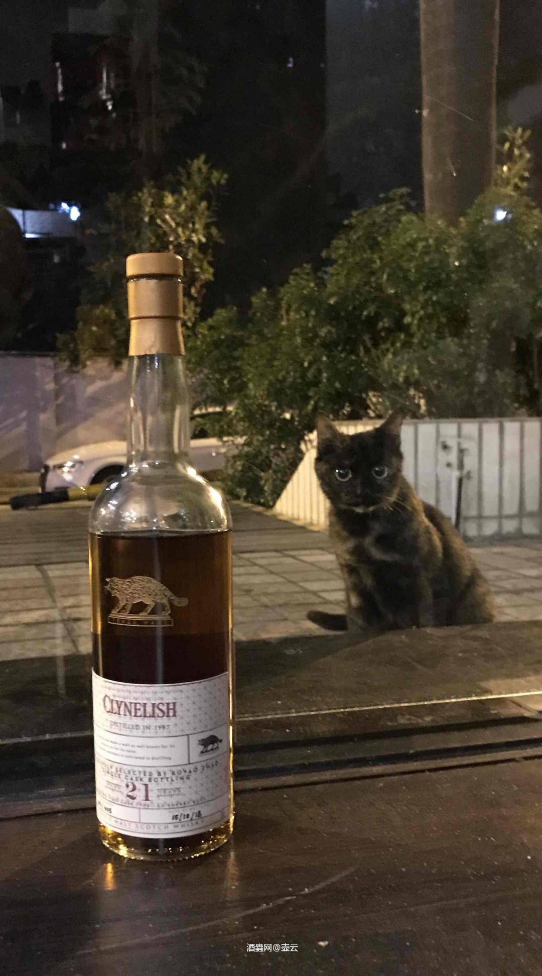 BOYAO ZHAO选桶小猫之初尝[强]