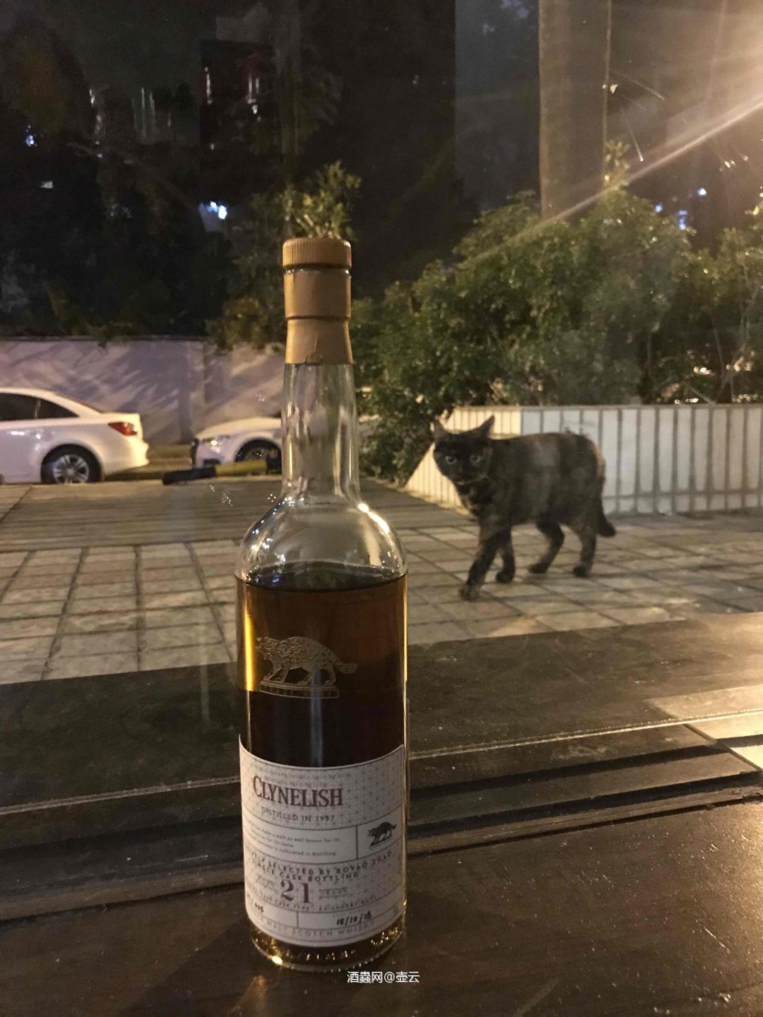 BOYAO ZHAO选桶小猫之初尝[强]