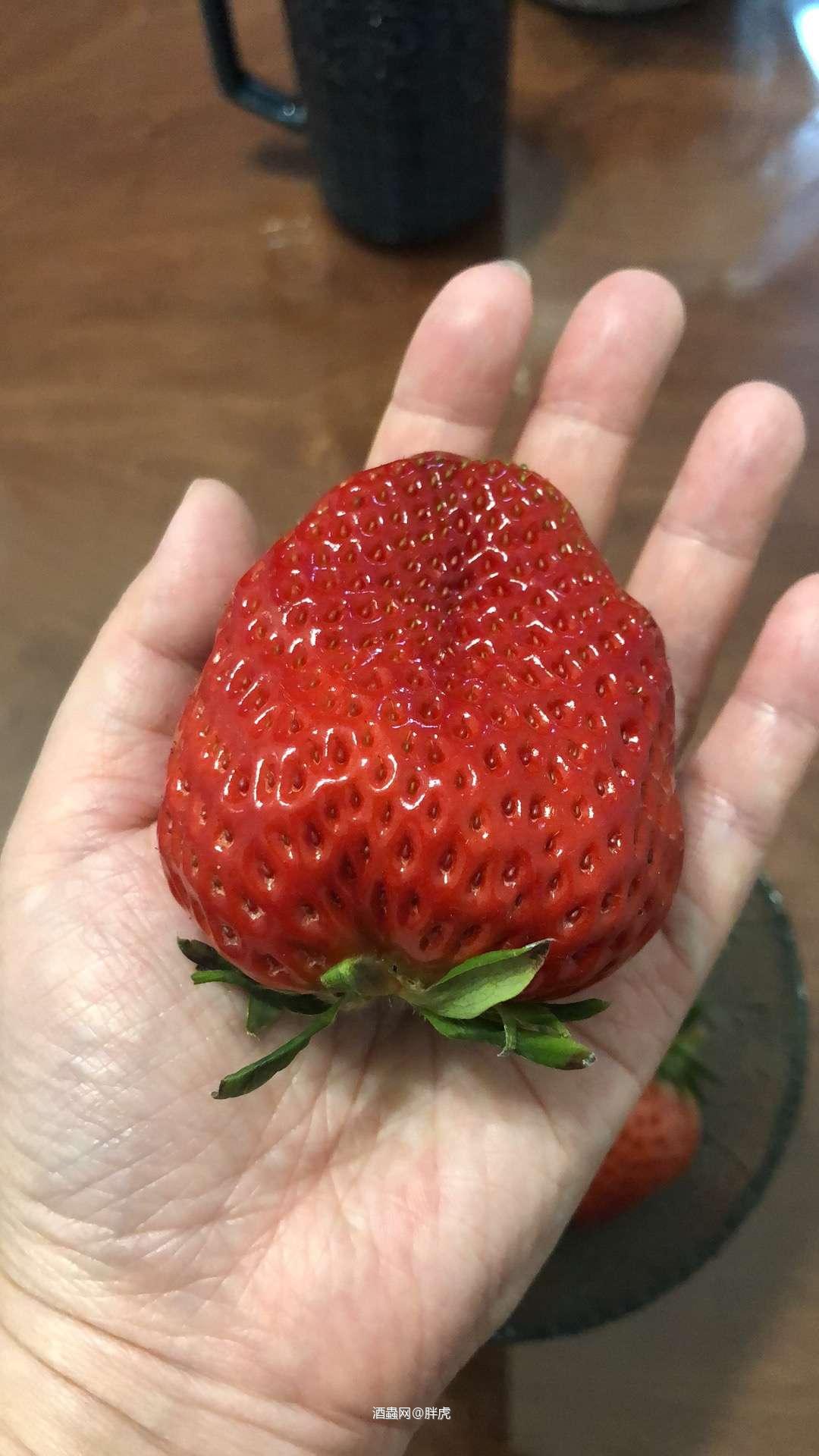 吃完这个大🍓，看看拍卖能不能结束！😎😎😎