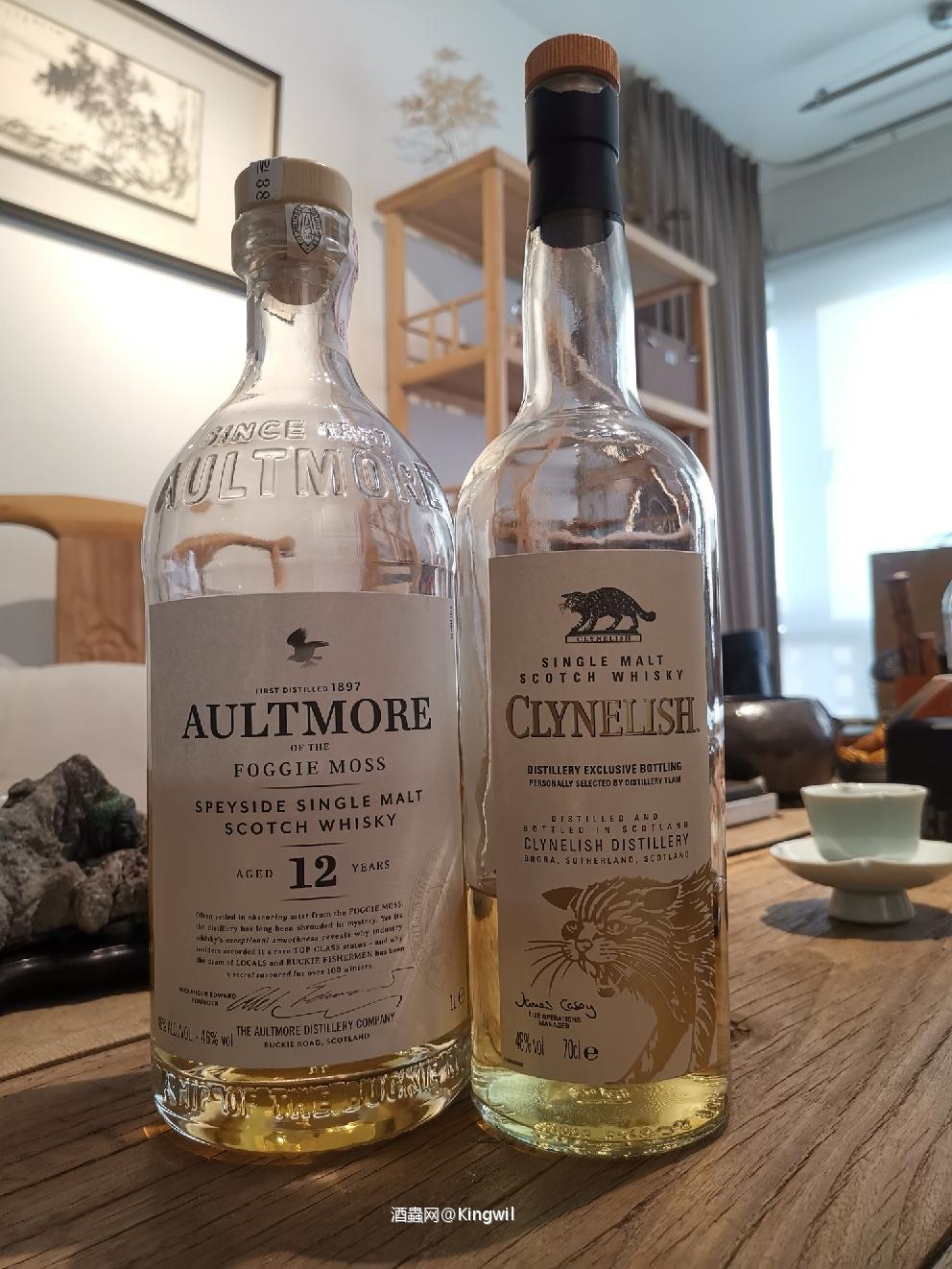 听说现在猫很火