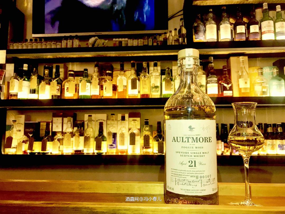 今晚只喝酒，不谈酒