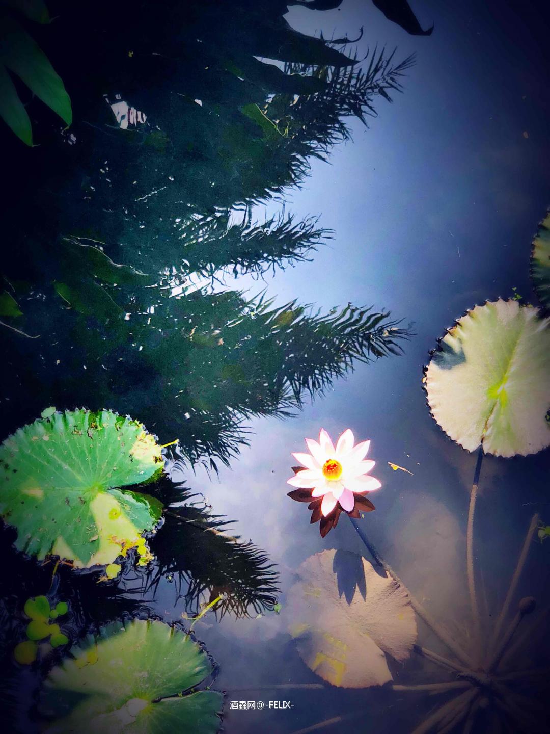 太平洋的风.....