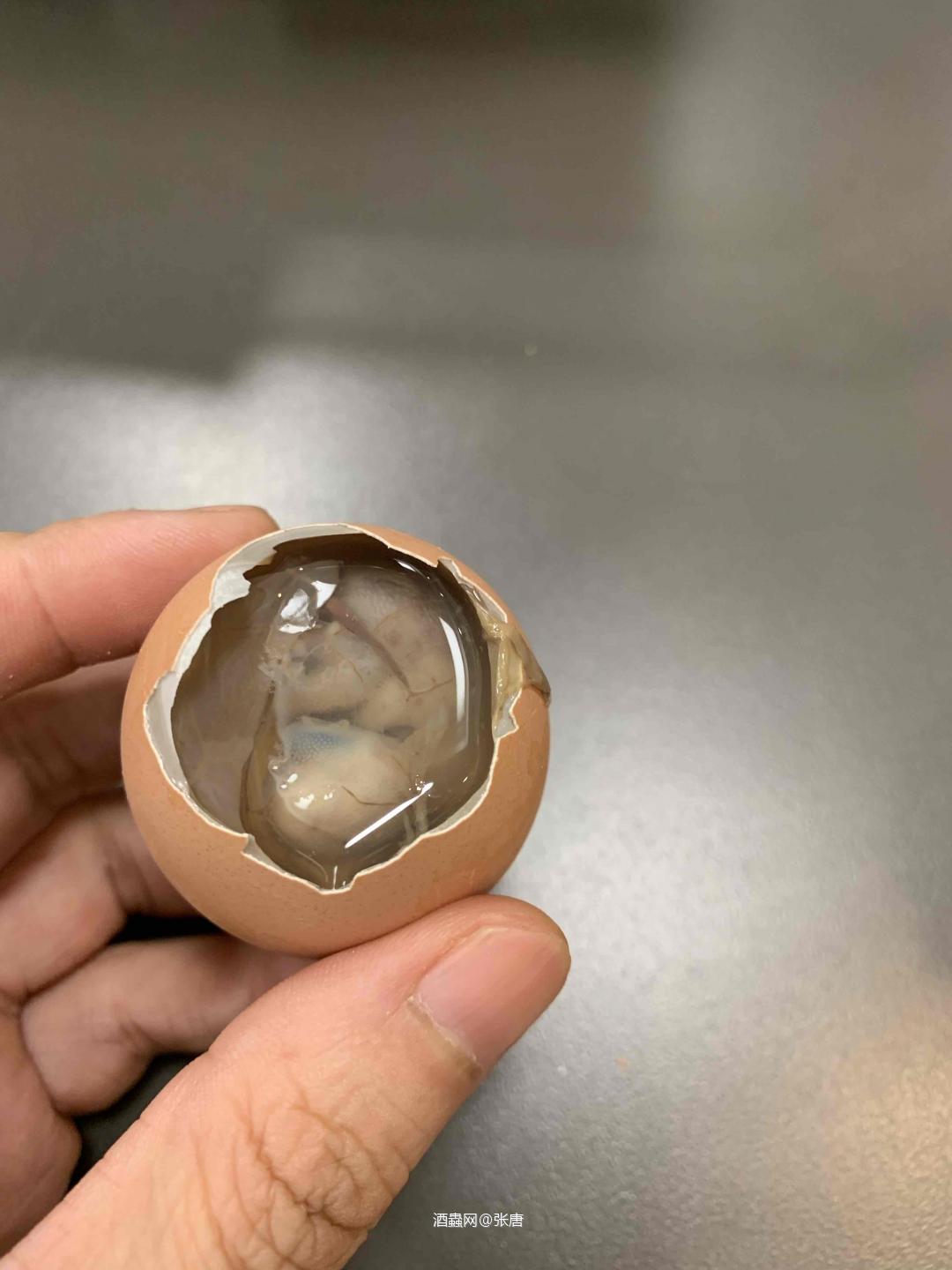 一般早上不喝酒