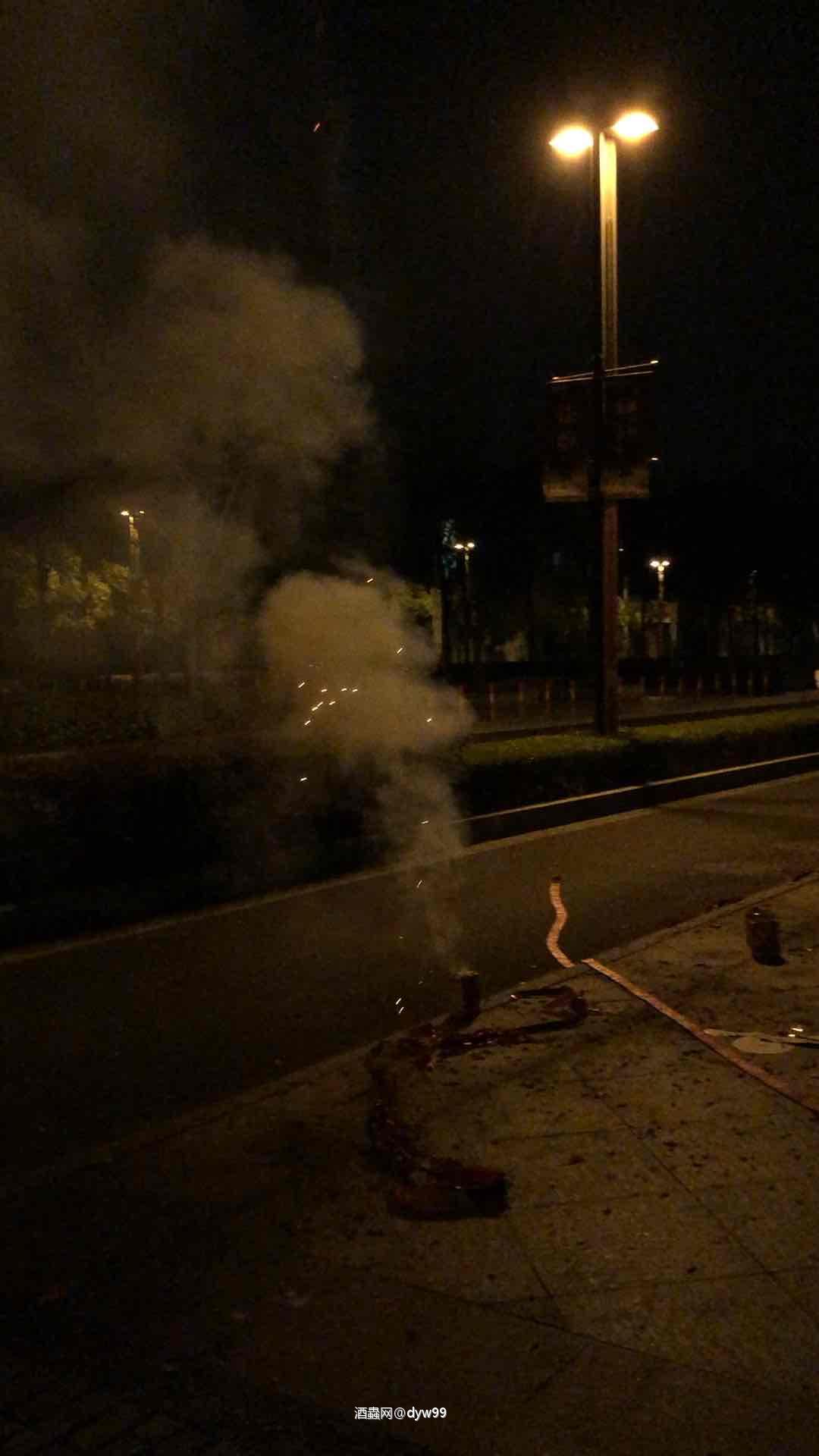 过年怎能无鞭炮，酒虫酒友猪年吉