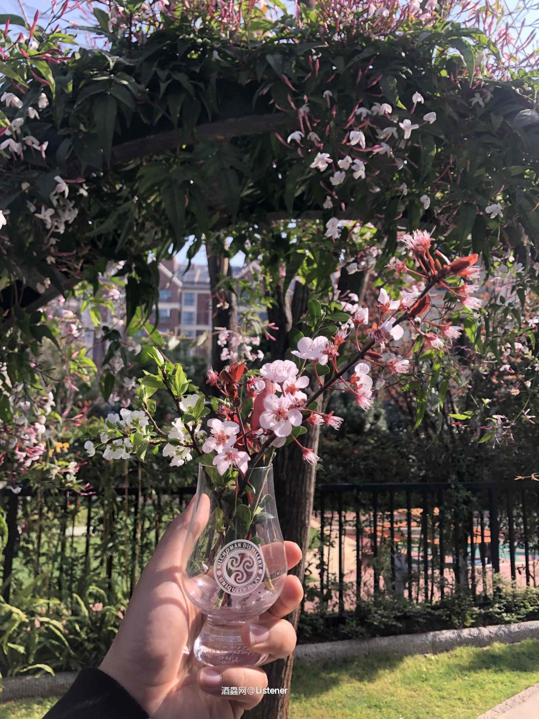 晚上喝酒，白天插花