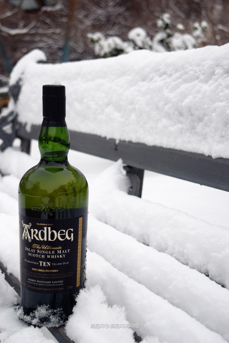 酒虫网料峭三月醉雅柏摄影活动公告