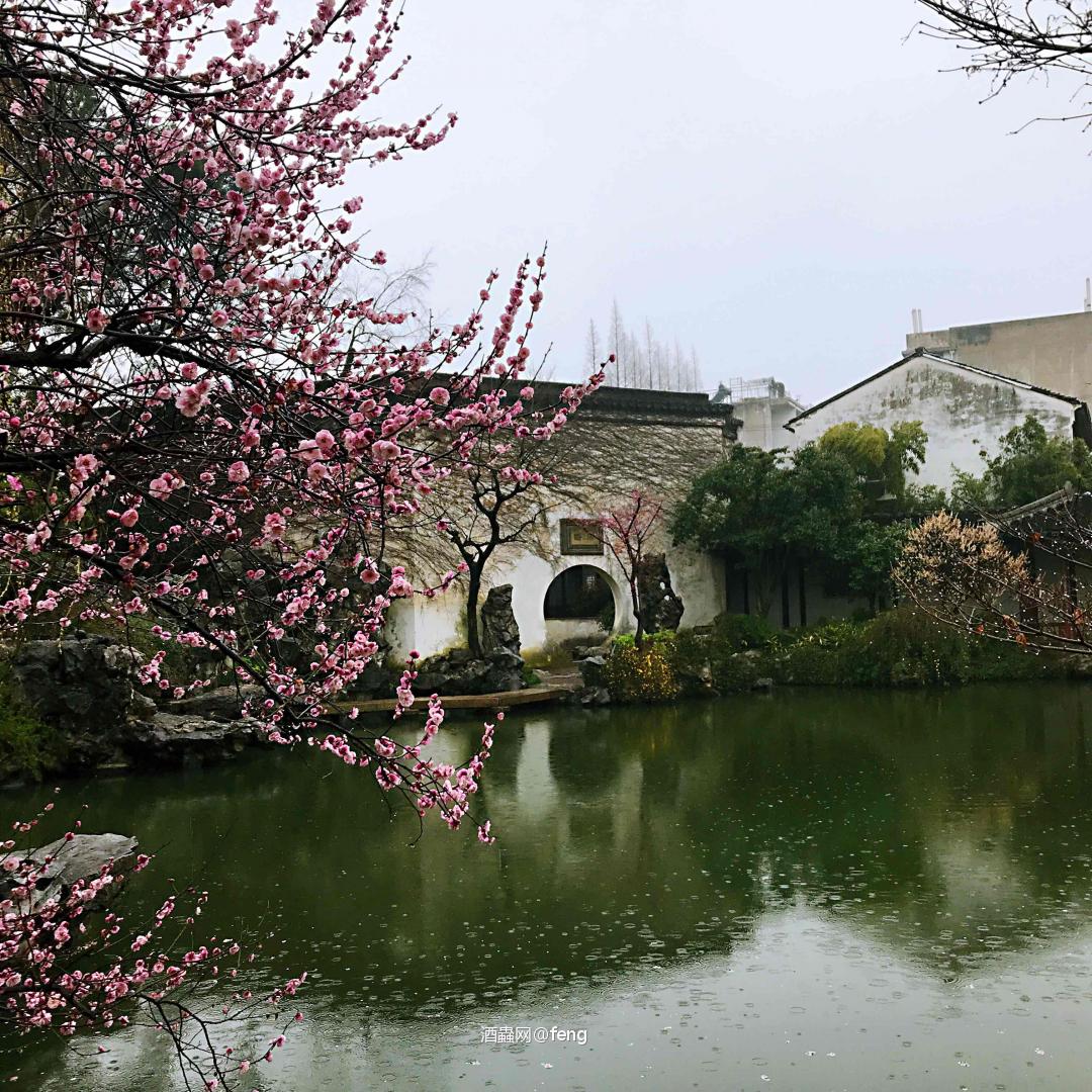 一杯清茶一瓶雅柏～