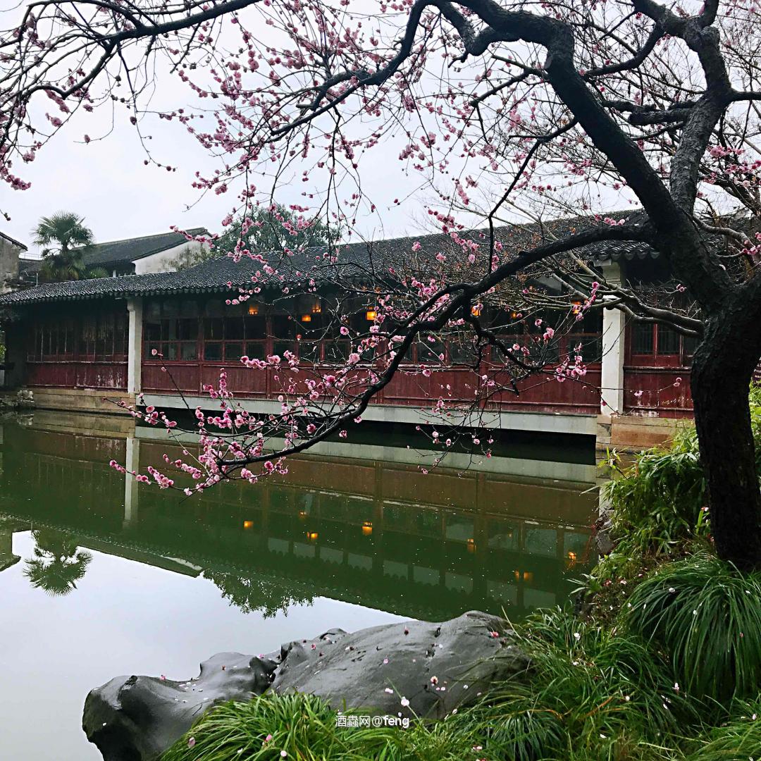 一杯清茶一瓶雅柏～