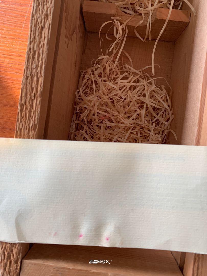 被坑的感觉，品相太差，边来边漏，纸都湿了……