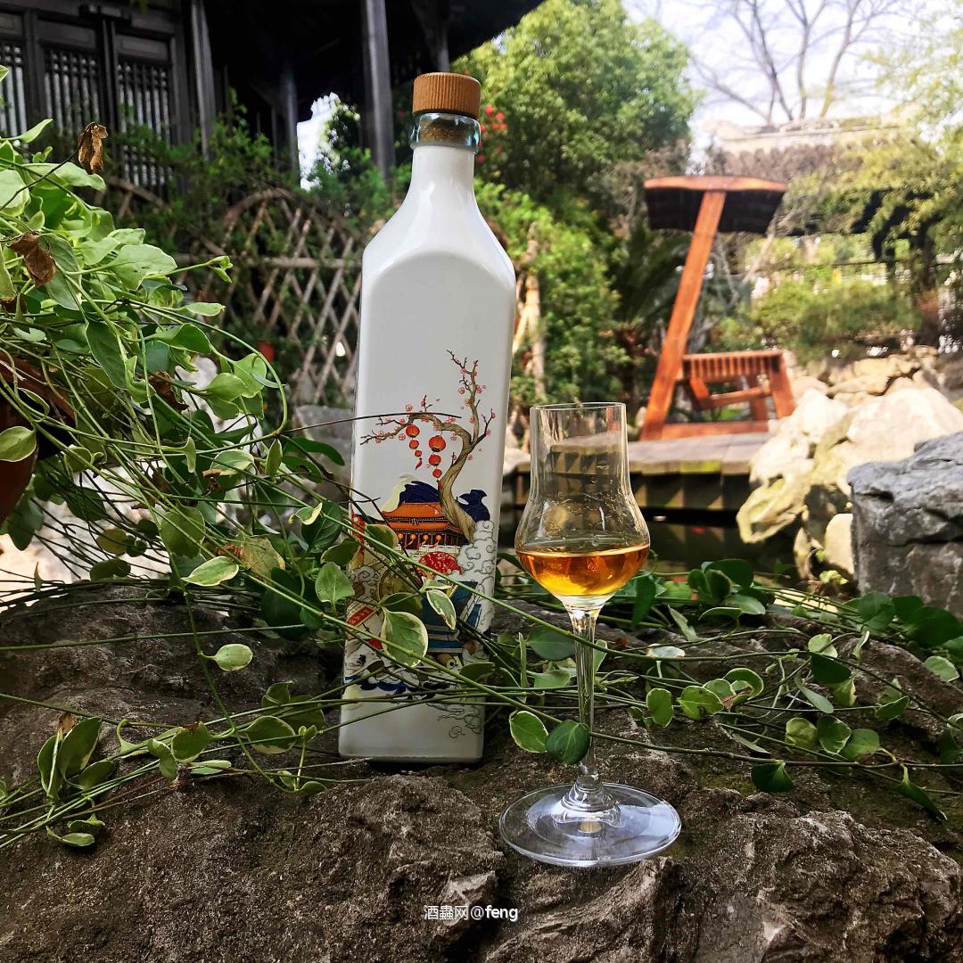 初春，带着走路哥踏青郊游