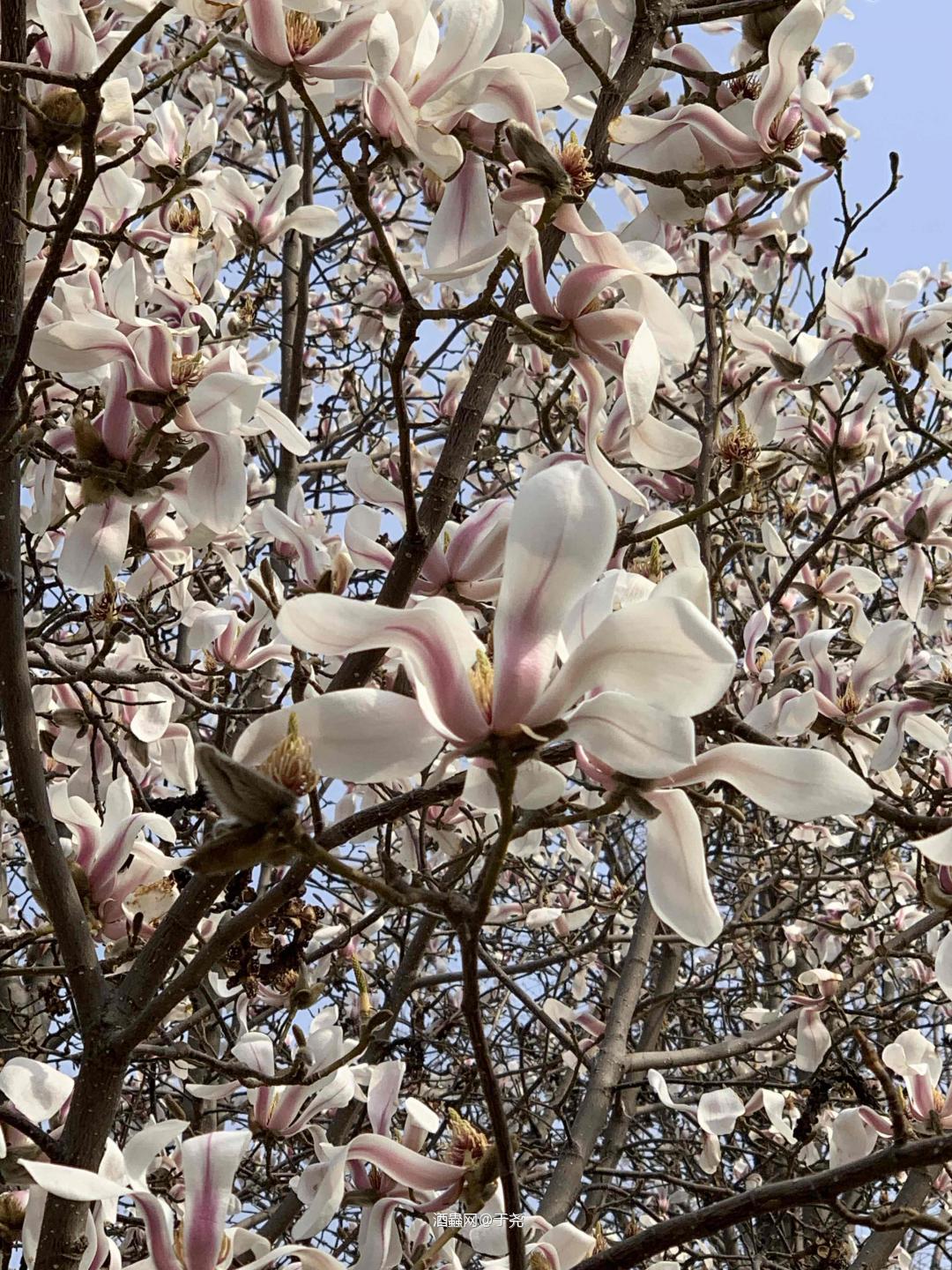 北京老铁海歌局约起来～