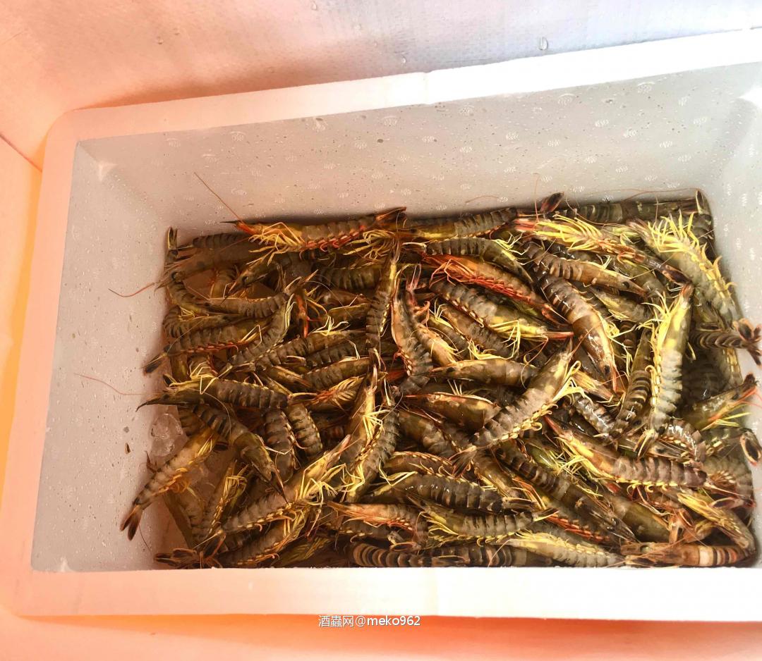 今晚敬老，與Uncle們喝Johnny Walker（粵語：約翰走佬）