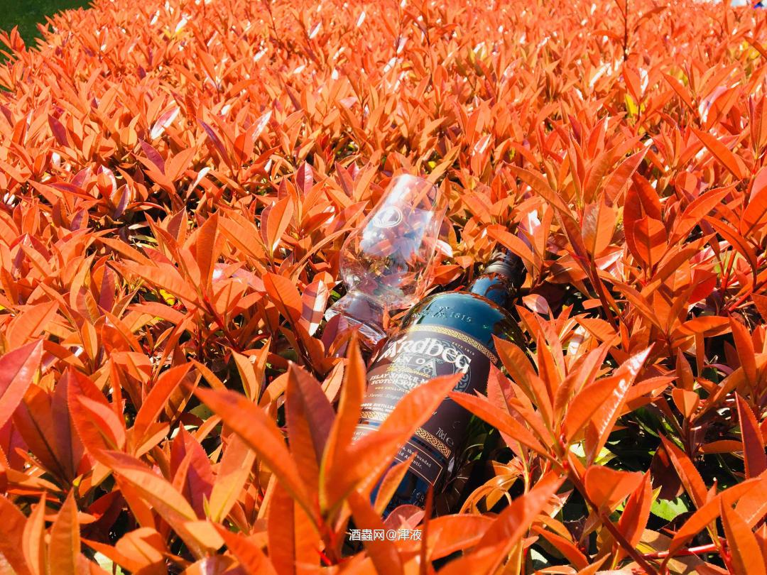 我的“雅柏”红通通，绿油油！