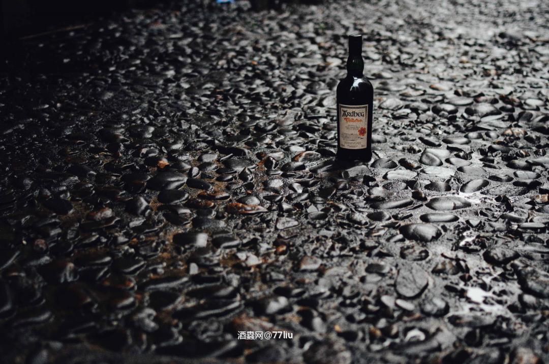 料峭三月醉雅柏