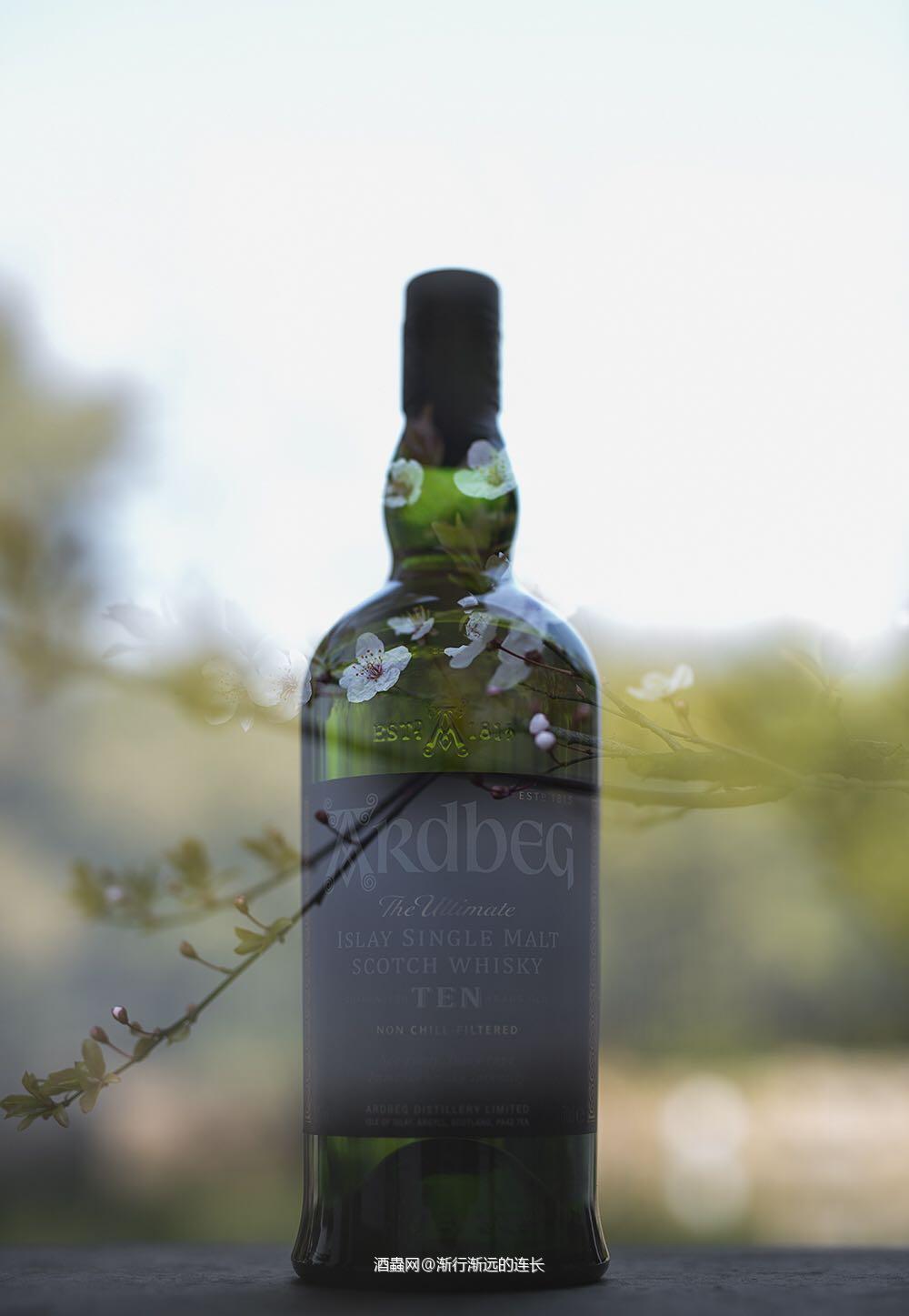 料峭三月醉雅柏