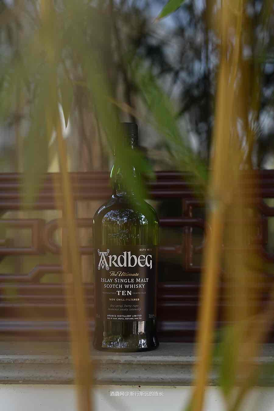 料峭三月醉雅柏