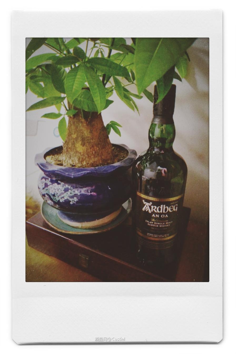 等闲识得雅柏面，万紫千红总是春