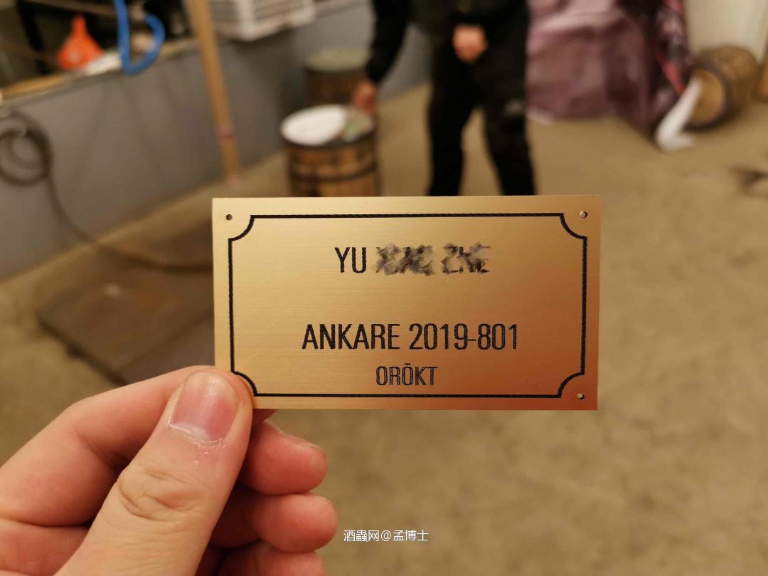 High Coast征名活动画上圆满句号，定名“海歌”！