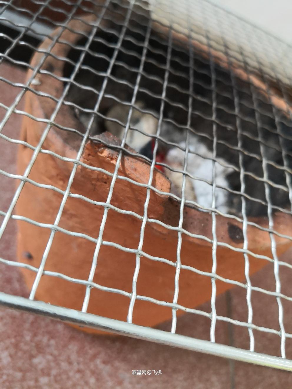 午休，午饭口粮，一人食