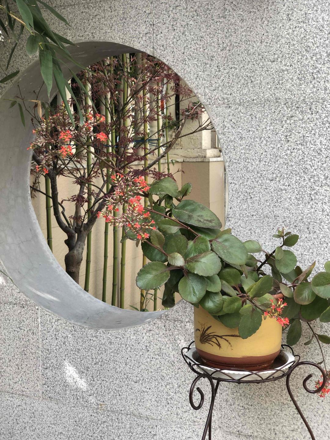 一个惬意的上午<img src='https://sdata.whiskyworm.com/xcxpics/emoji_77.png' class='emoji' />