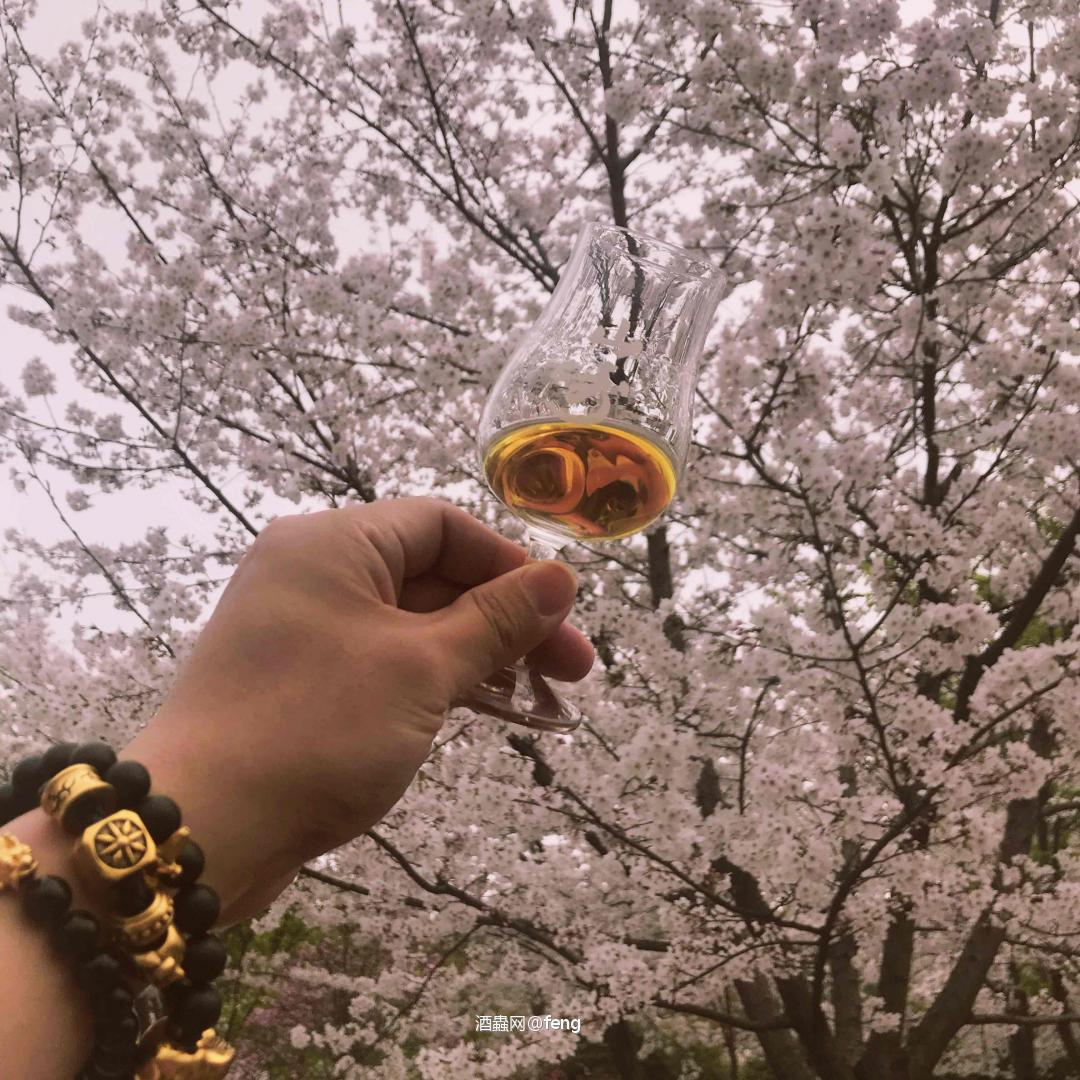 春天，带着威赏樱吃江鲜