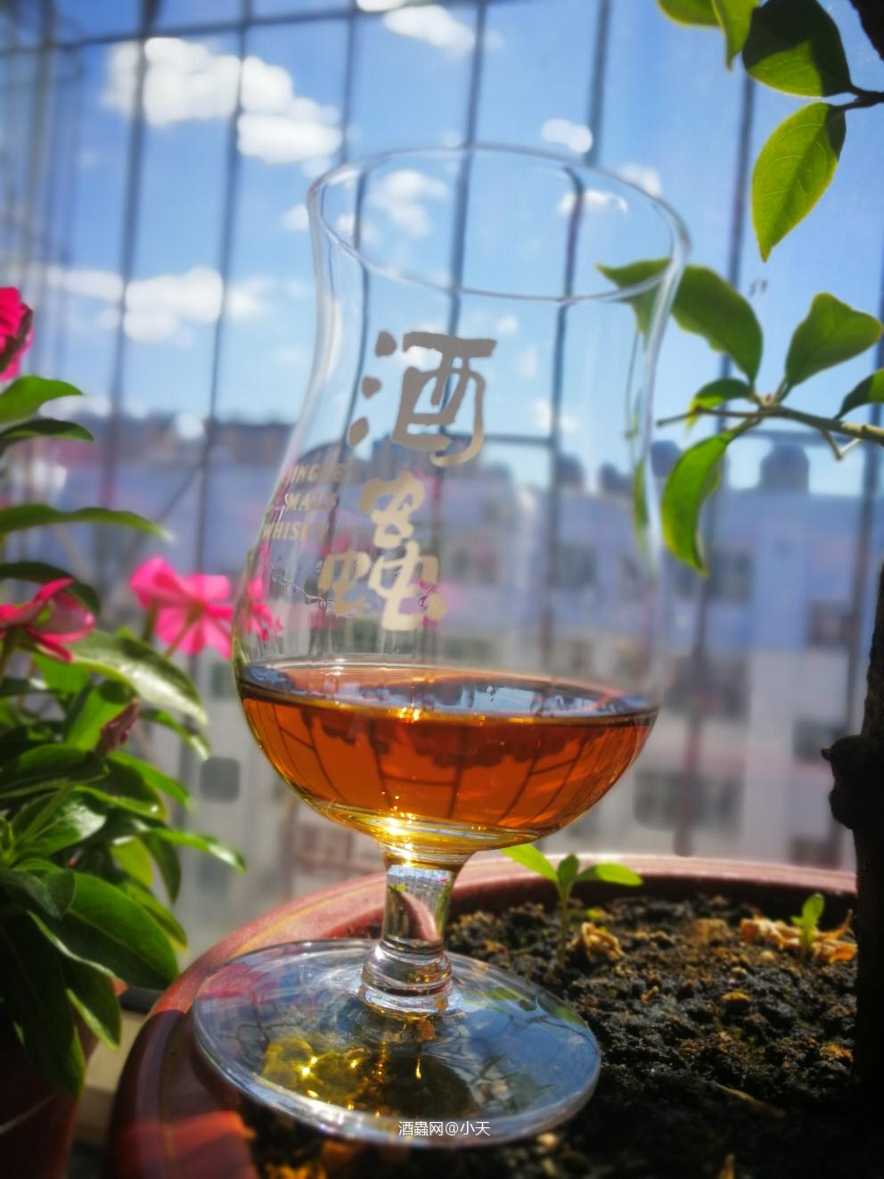 雅柏大宝剑（ARDBOG）酒评一则