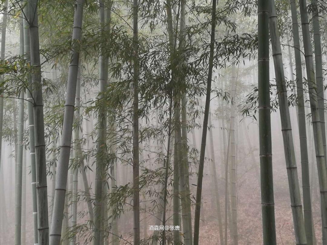 不知道好喝不好喝