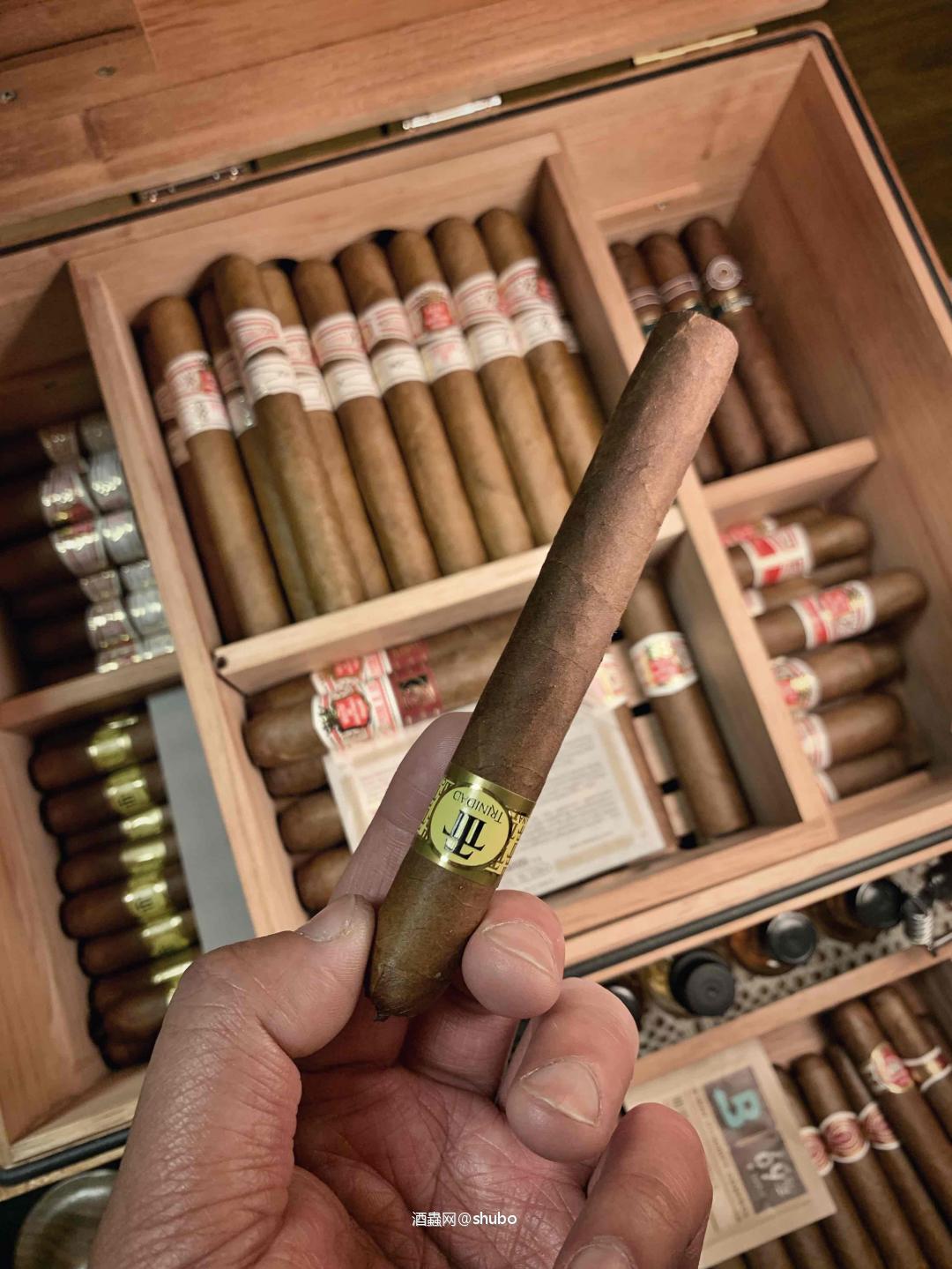 特立尼达殖民地