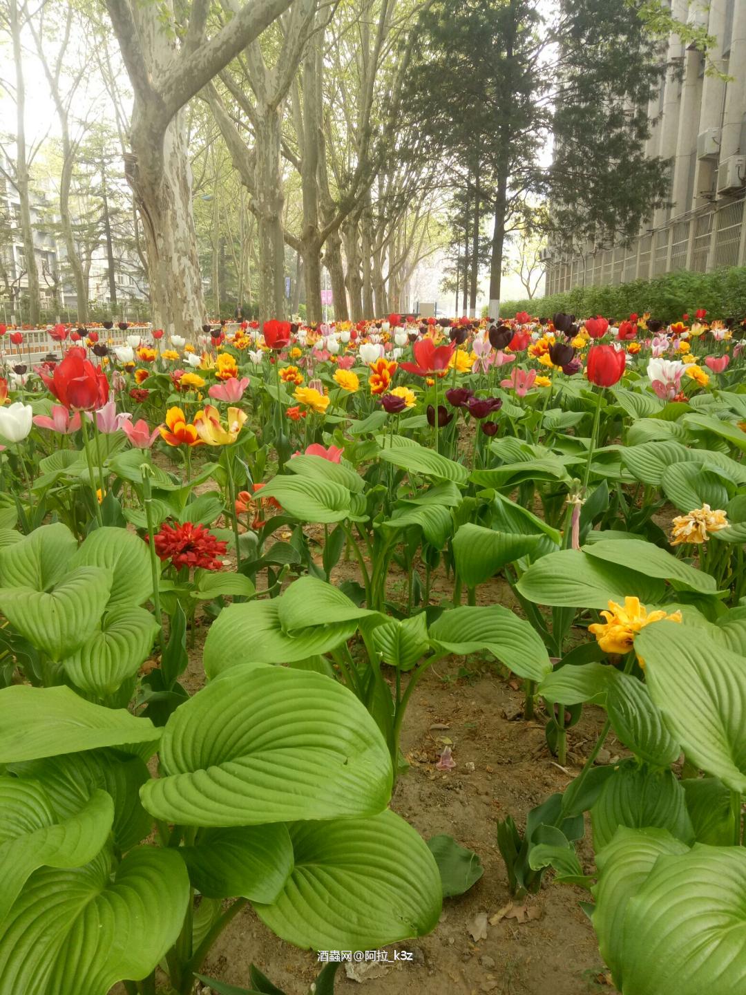酒虫网络最近是怎么了😳😳我原来的会员号怎么找不回来了😓
